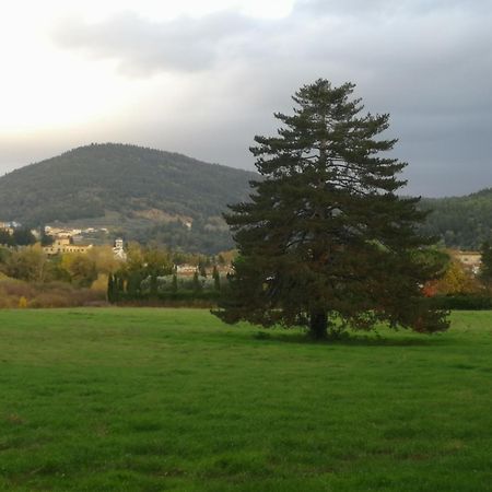 Open Space Nel Parco Con Parcheggio Gratuito Firenze Bagian luar foto