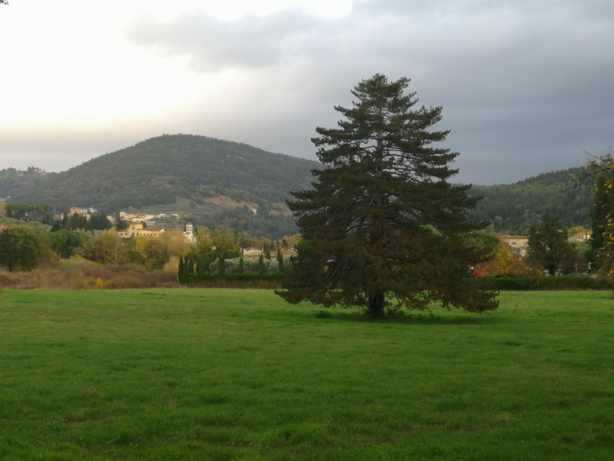 Open Space Nel Parco Con Parcheggio Gratuito Firenze Bagian luar foto